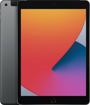 Apple iPad 7 A2197 32GB WiFi Grijs