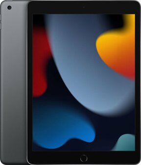 Apple iPad 9 A2602 64GB WiFi Grijs