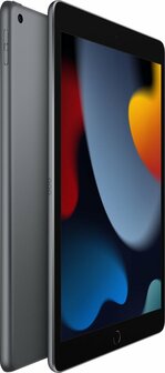 Apple iPad 9 A2602 64GB WiFi Grijs